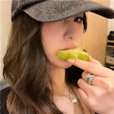 蒙古王